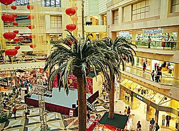 本周FAMI通新作评分出炉 《热血少女2》29分